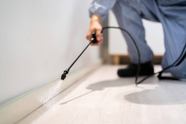 Licensed Pest Control service in Rafter J Ranch, WY - Show Me Pest Control