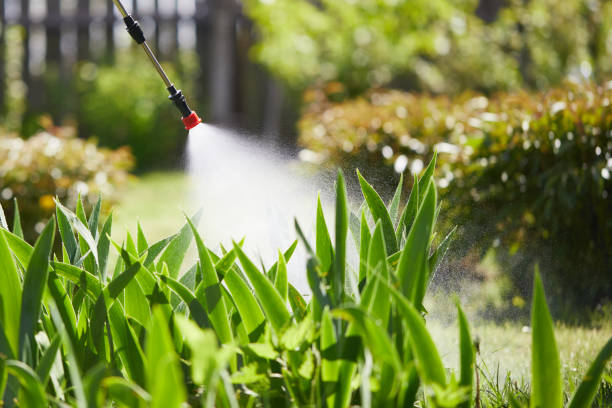 24/7 Emergency Mosquito Control experts in Rafter J Ranch, WY